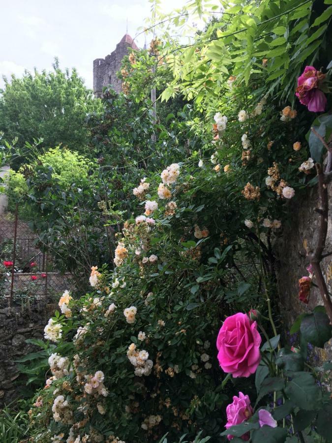 Cote Remparts Villa Carcassonne Exterior foto